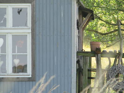 Bild 9 aus  Gut Waldhof