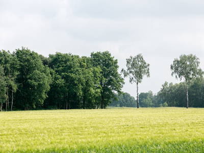 Bild 10 aus  Landhuus Laurenz