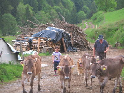 Bild 6 aus  Ferienhof Rasch