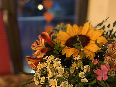 Bild 25 aus  Bergrödelhof