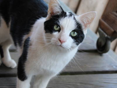 Bild 22 aus  Bauernhofurlaub auf Larbigs Art