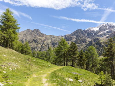 Bild 47 aus  BIO Bergbauernhof Inner-Glieshof