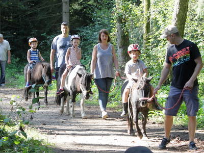 Bild 40 aus  Ponyferienhof