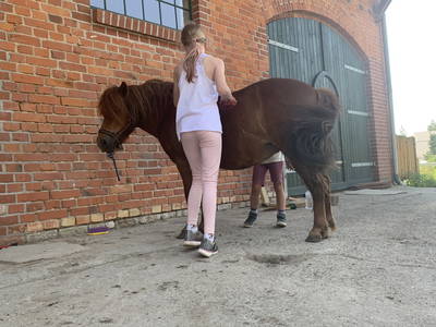 Bild 9 aus  Hof Thomsen