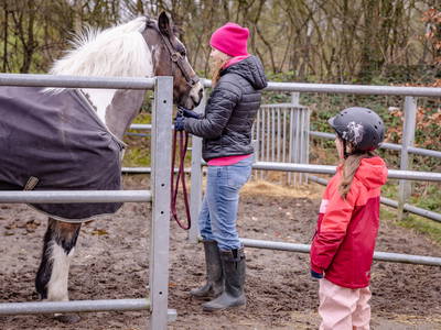 Alles klar zum Ponyreiten