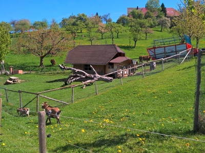 Bild 21 aus  Maierhof