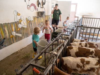 Bild 27 aus  Großrachlhof