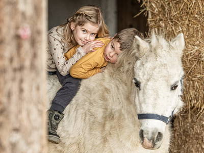 Bild 14 aus  Zillertaler Hofchalets