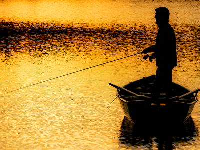 Bild 24 aus  Ferienhof Rösch