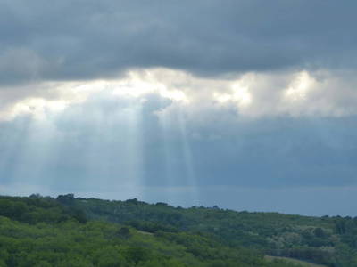 Bild 161 aus  Le Colombié - Ferienhäuser an der Dordogne mieten
