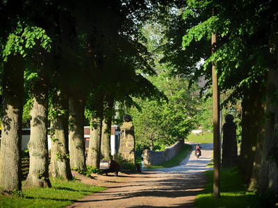 Bild 6 aus  Pieverstorf 2