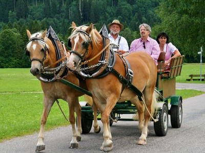 Bild 24 aus  Augustinerhof