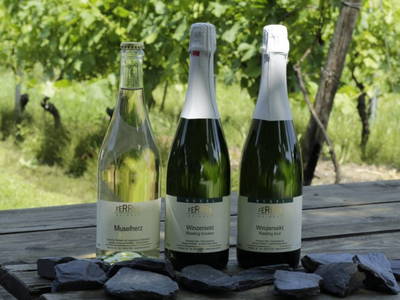 Bild 9 aus  Ferres Weingut