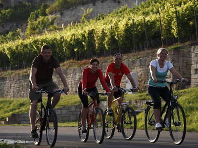 Bild 10 aus  Ferienwohnung Weingut Mathy Schanz