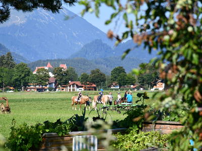 Bild 57 aus  Augustinerhof