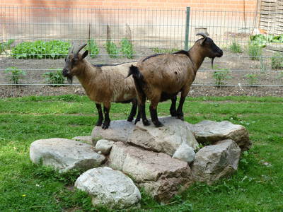 Bild 18 aus  Eichenhof