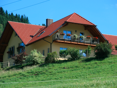 Bild 4 aus  Bierpeterhof