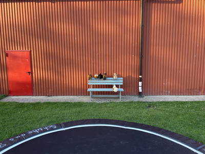 Bild 26 aus  Bauernhof Claussen Fehmarn