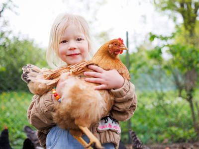 Bild 2 aus  Ferienhof Sonnengarten