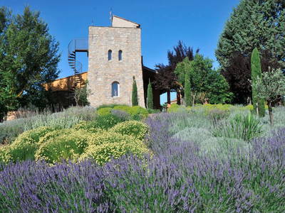 Bild 10 aus  Une Campagne en Provence