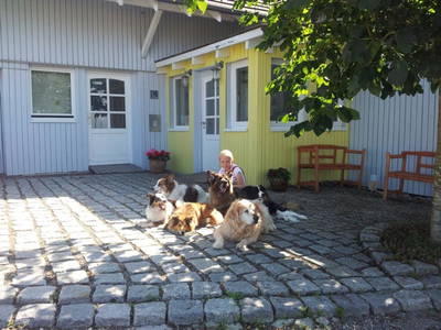 Bild 4 aus  Landhaus Bodensee