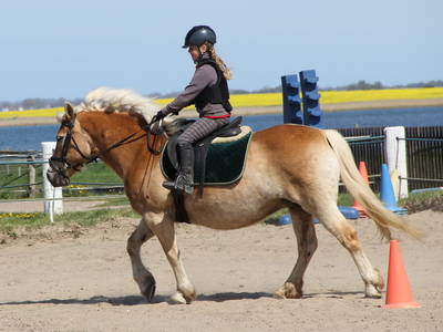 Bild 46 aus  Erlebnis-Bauernhof Kliewe auf der Insel Rügen