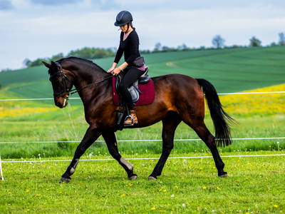 Bild 9 aus  Landkulturhof Glücksbringer