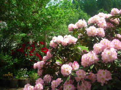 Bild 38 aus  Hotel Gasthof Sieberzmühle