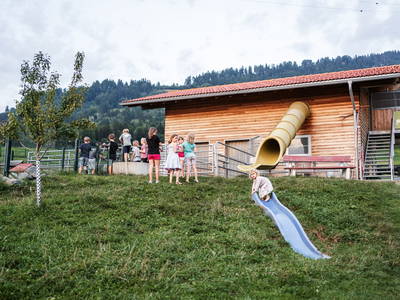 Bild 49 aus  Strublhof