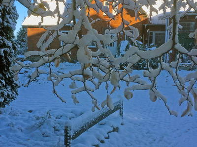 Bild 55 aus  Sonis kleine Farm Grömitz