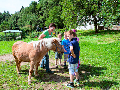 Bild 11 aus  Ferienhof Siber