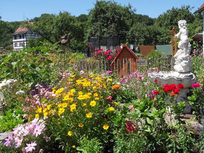 Bild 9 aus  Hubertushof Steidle