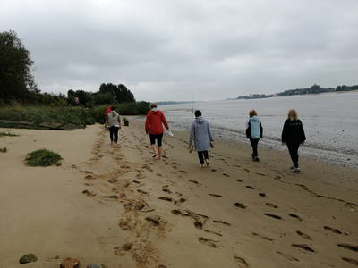 Bild 19 aus  Ferienwohnungen Harriersand direkt an der Weser