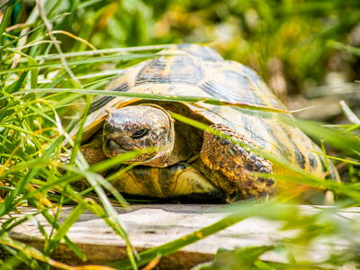 Bild 20 aus  Mitteltalhof "Lebensraum mit Vision"