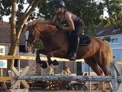 Bild 18 aus  Ferienhof Rauert