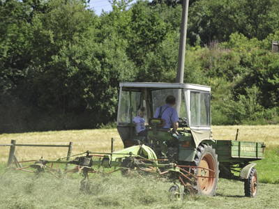 Bild 29 aus  Ferienhof Zinn