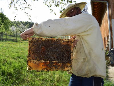 Bild 19 aus  Unterfrickhof