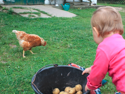 Bild 6 aus  Waldhof Bruchmühle