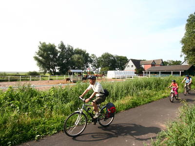Bild 37 aus  Ferienhof Peter -  Ponys - streicheln, striegeln, füttern  -  Wattwanderungen + ganz viel Nordsee