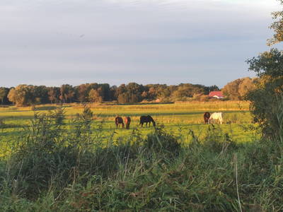 Bild 18 aus  LANDHAUS ARCADIA