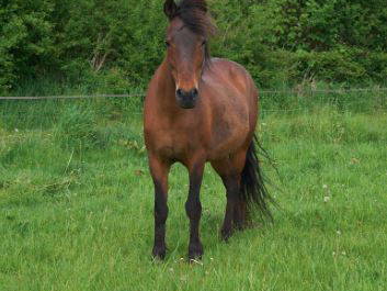 Bild 6 aus  Grünberger Hof