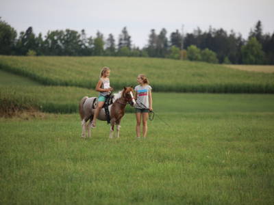 Bild 40 aus  Pension Baarblick