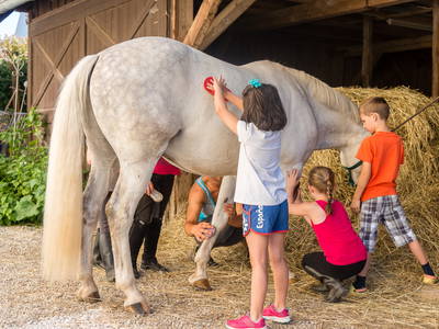 Bild 2 aus  LandSelection Stadler-Hof