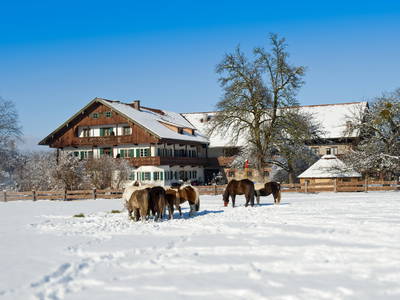 Bild 11 aus  Abrahamhof