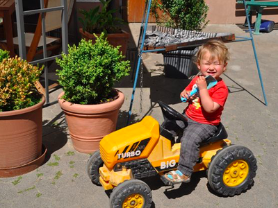 Bild 10 aus  Rhöner Haflingerhof