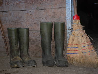 Bild 25 aus  Masererhof - Ferienbauernhof im Chiemgau