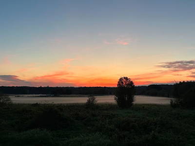 Bild 20 aus  Das Ferienhaus Auszeit am Lanzer See