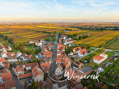 Bild 3 aus  Das Winzereck | Ferienhaus zwischen Weinbergen & Pfälzerwald