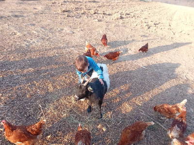 Bild 6 aus  Ferienbauernhof Neumühle