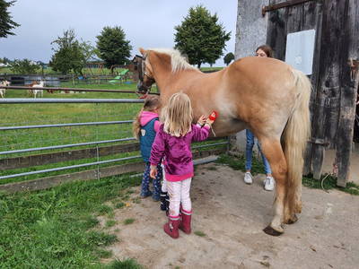 Bild 43 aus  Bauernhofpension Bals